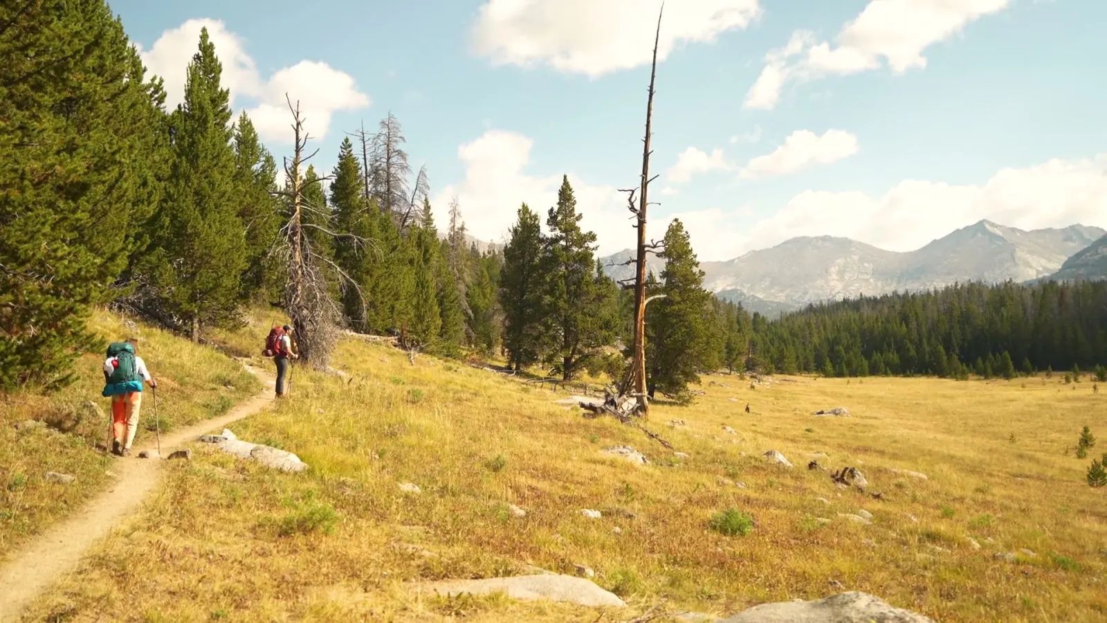 Two hikers on a mountain trail near Bozeman, Montana
